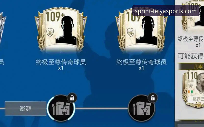 飞亚体育平台最新入口详解与操作指南